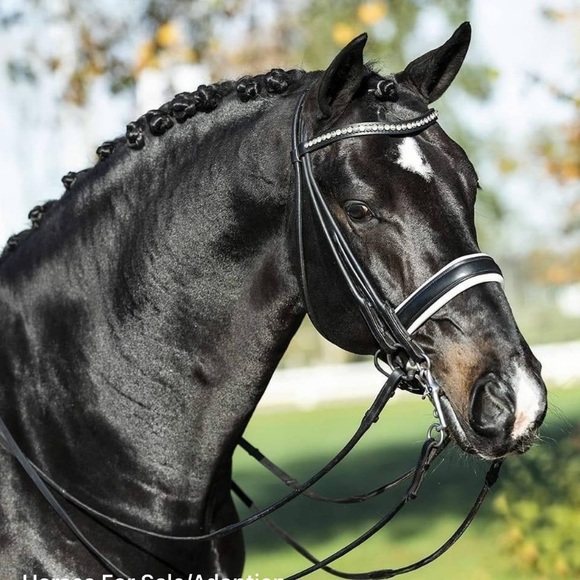 Meet your Posher, Lindsay B - Picture 7 of 15